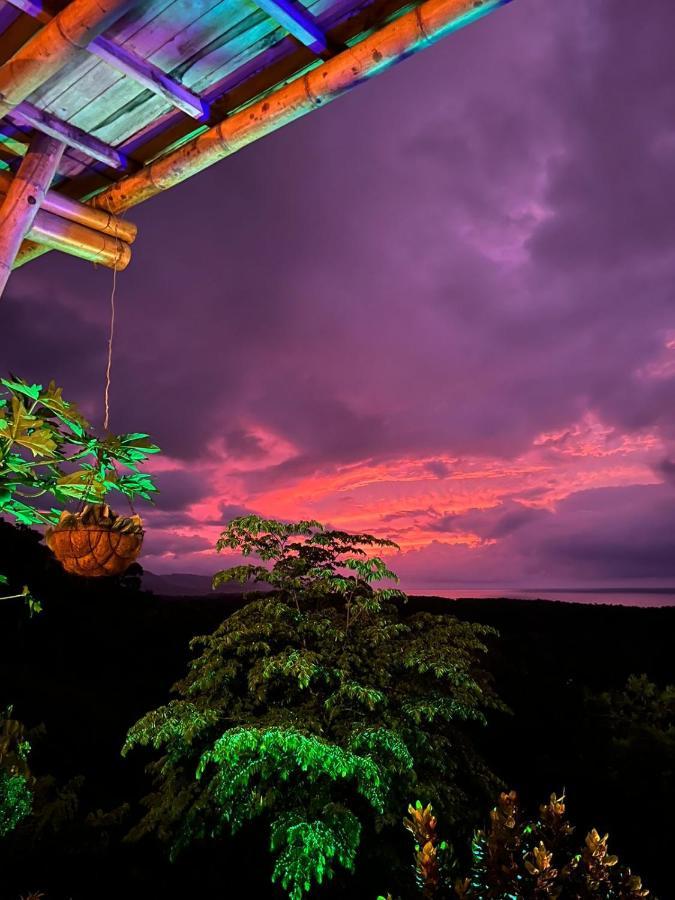 Niuwi Hostel Buritaca Bagian luar foto