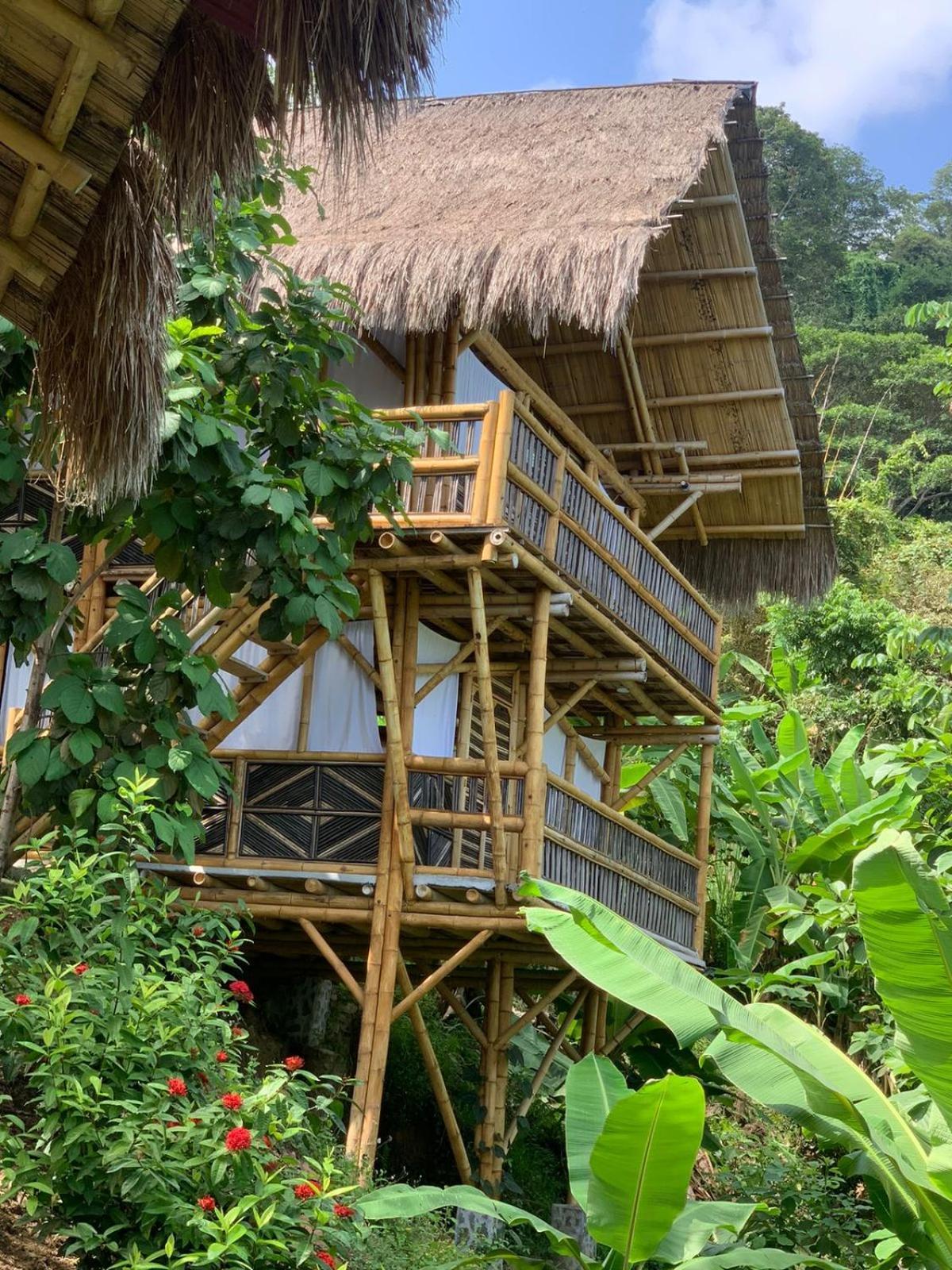 Niuwi Hostel Buritaca Bagian luar foto